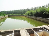 企業(yè)環(huán)境